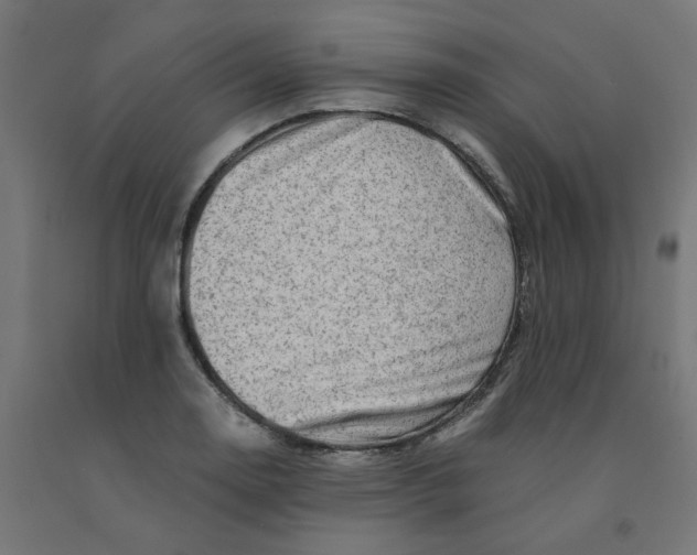 X0000090881130200708241935