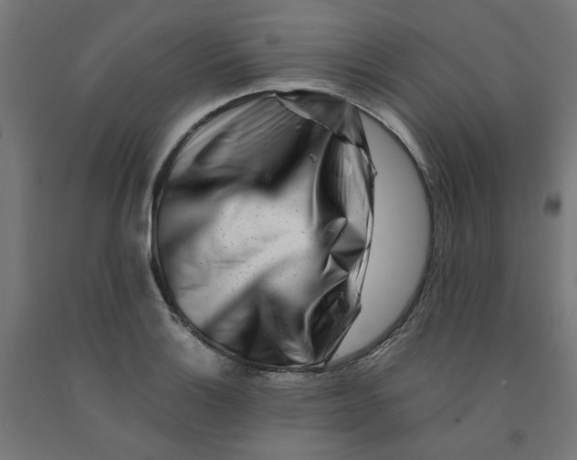 X0000090881132200708241935