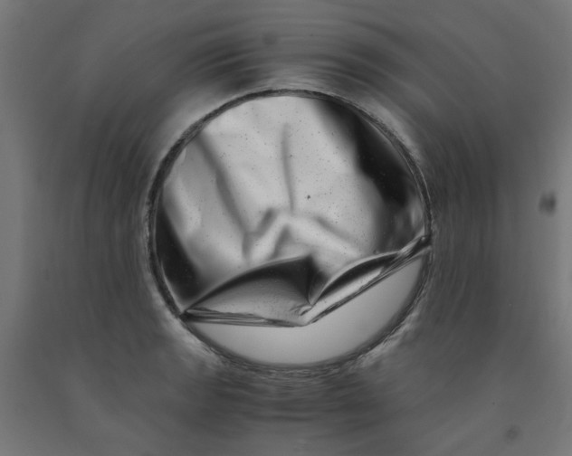 X0000090881133200708241935