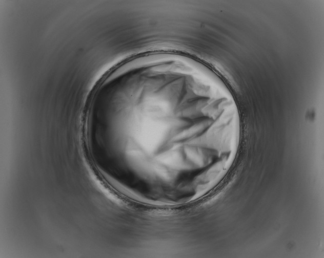 X0000090881134200708241935