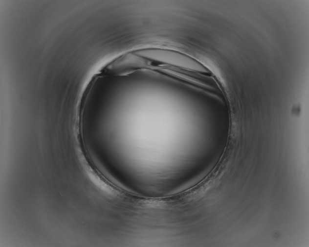 X0000090881136200708241935