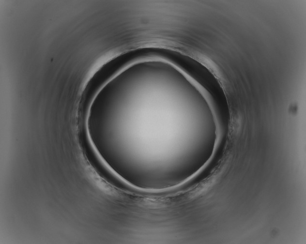 X0000090881138200708241935