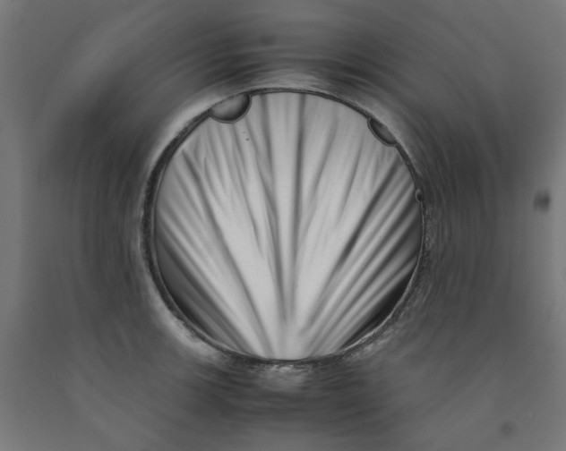 X0000090881139200708241935