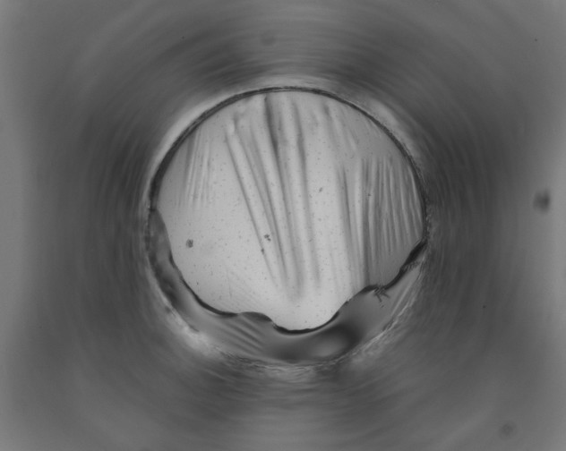 X0000090881140200708241935