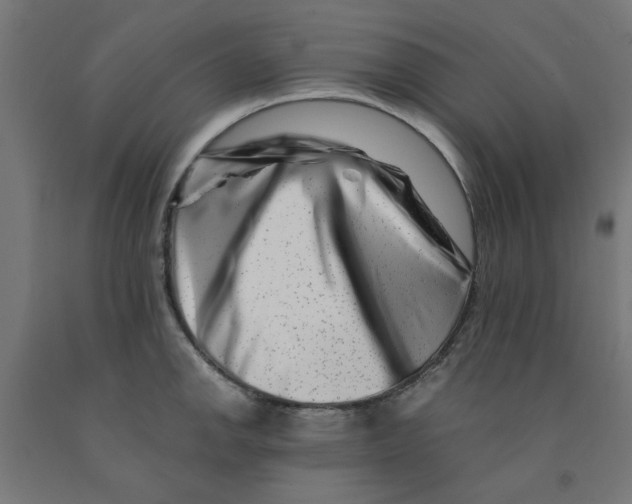 X0000090881142200708241935