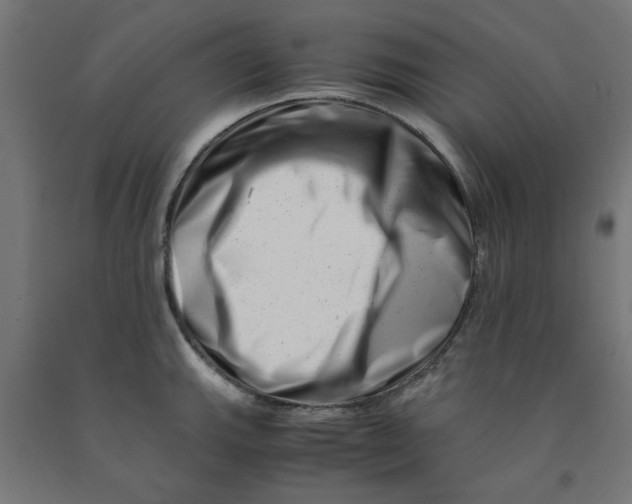 X0000090881143200708241935