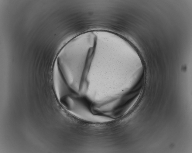 X0000090881145200708241935