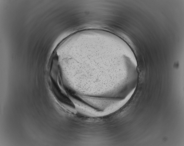 X0000090881146200708241935