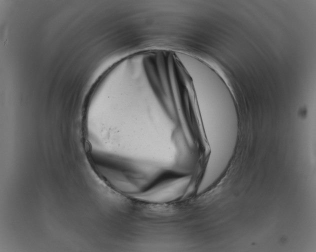 X0000090881147200708241935