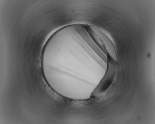 X0000090881148200708241935