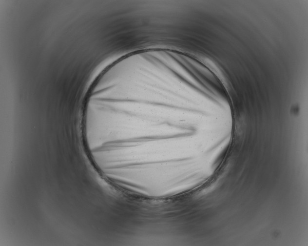 X0000090881149200708241935