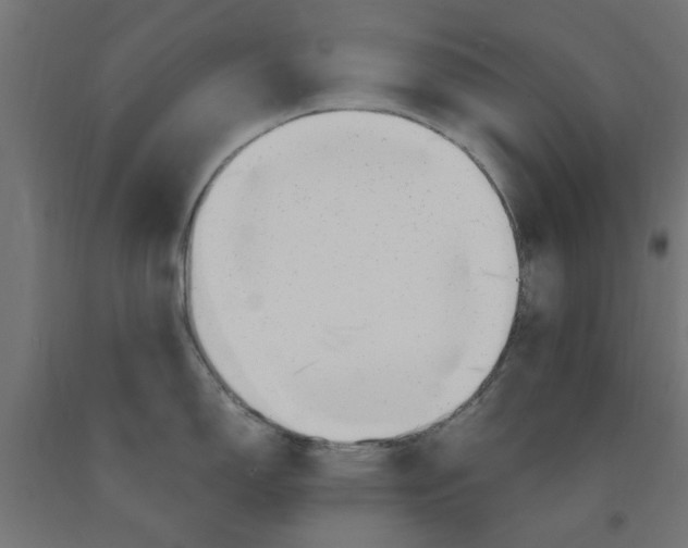 X0000090881150200708241935