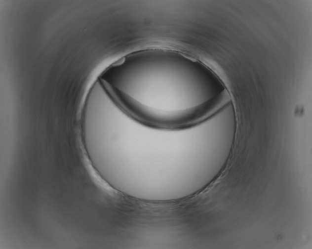 X0000090881152200708241935