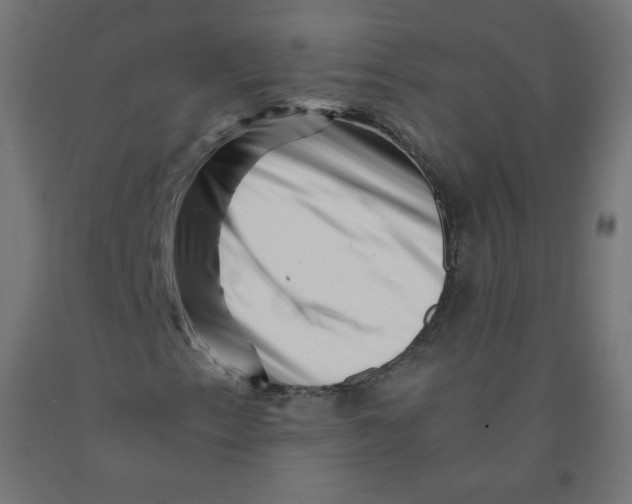 X0000090881153200708241934