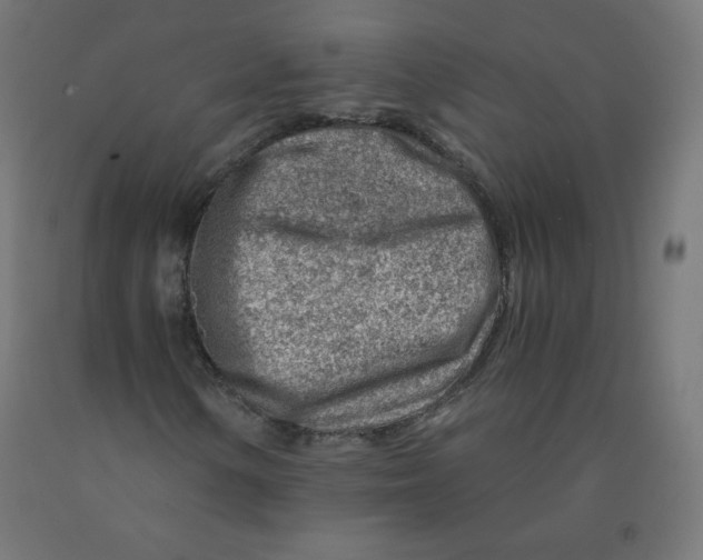 X0000090881154200708241934