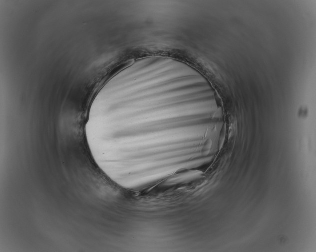 X0000090881156200708241934