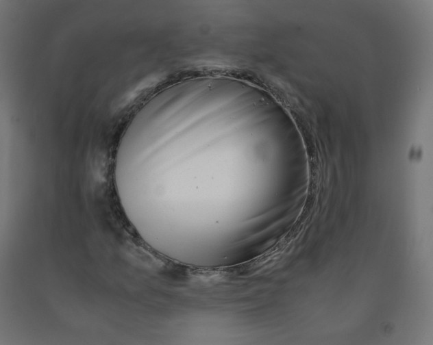 X0000090881157200708241934