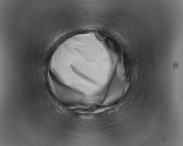 X0000090881158200708241934