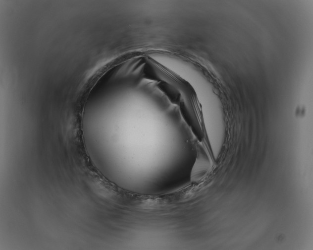 X0000090881160200708241934