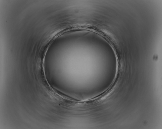 X0000090881161200708241934