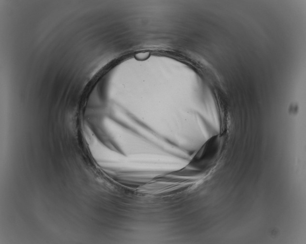 X0000090881162200708241934