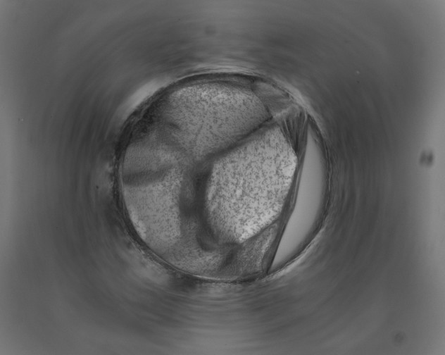 X0000090881163200708241934