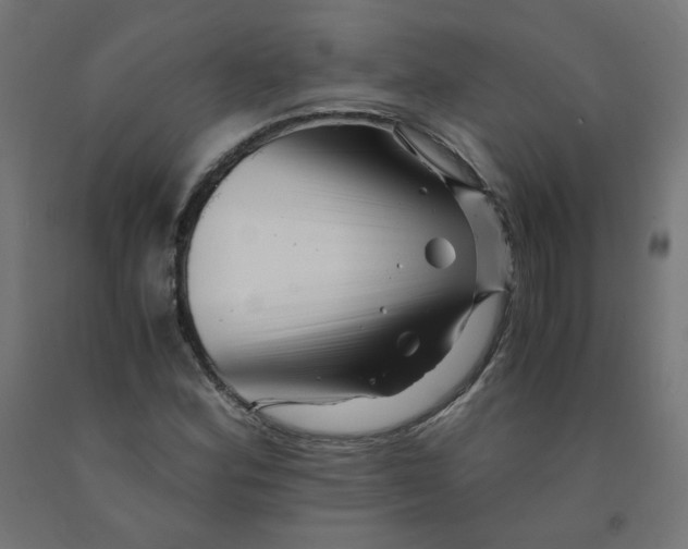 X0000090881164200708241934