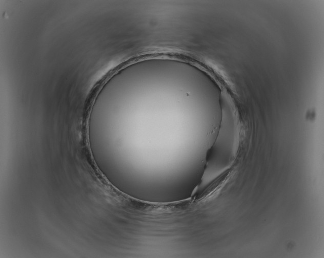 X0000090881165200708241934