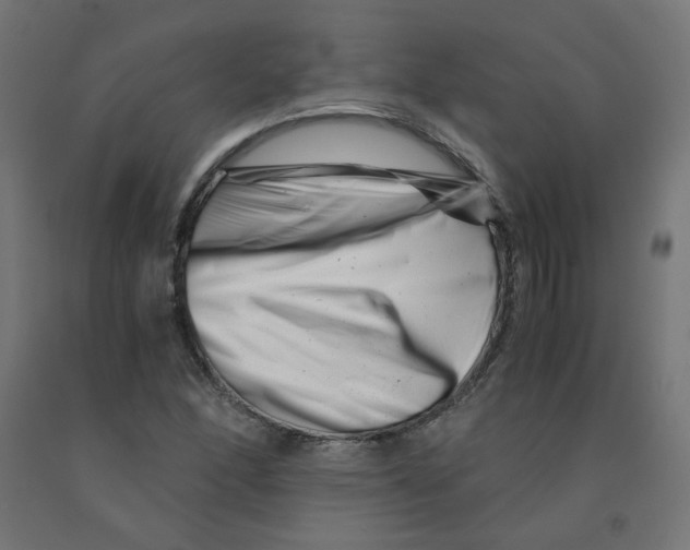 X0000090881166200708241934