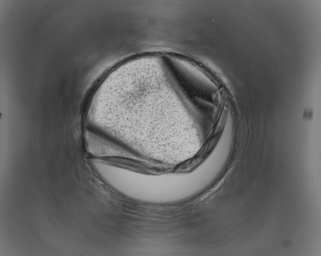 X0000090881167200708241934