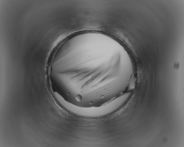 X0000090881168200708241934