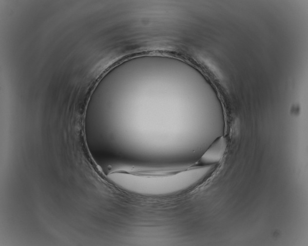 X0000090881169200708241934