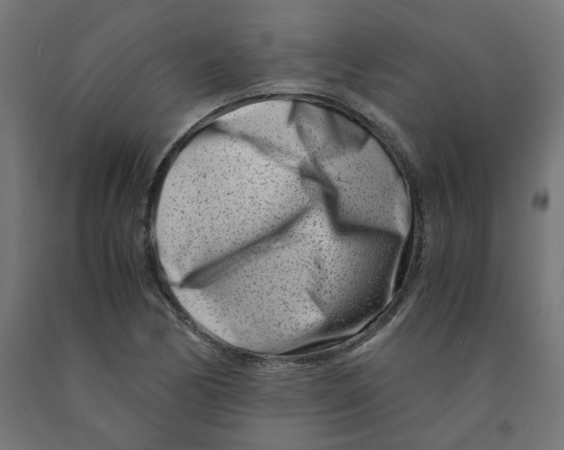 X0000090881170200708241934