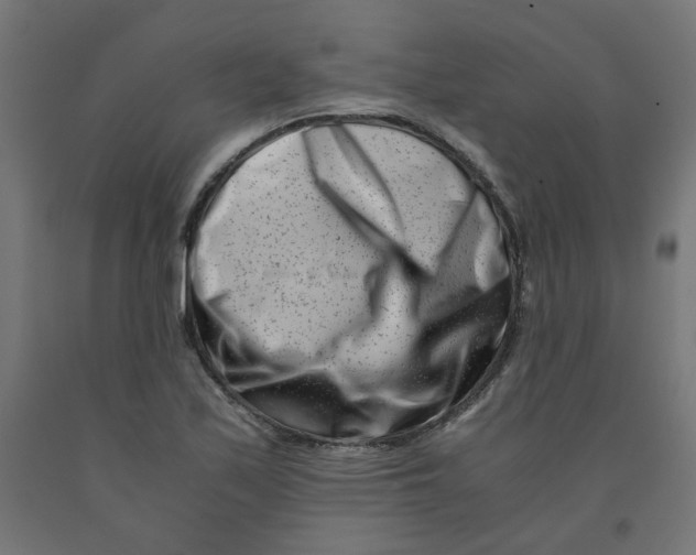 X0000090881171200708241934