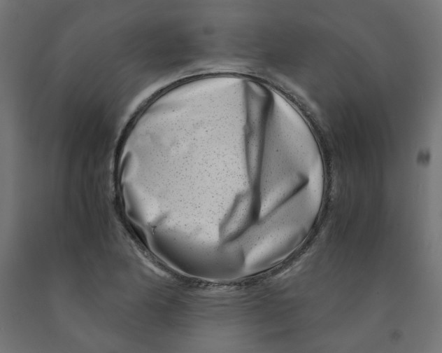 X0000090881174200708241934