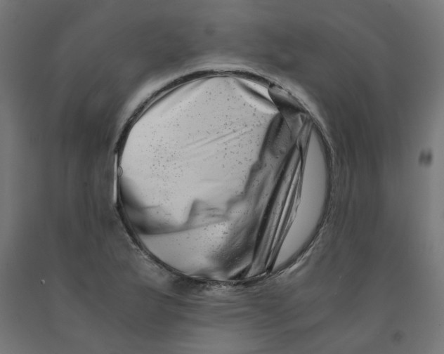 X0000090881175200708241934