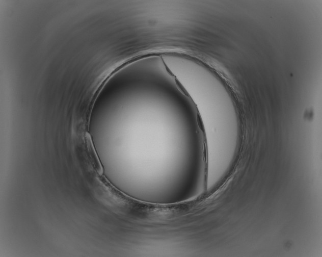 X0000090881177200708241934