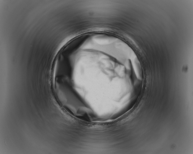 X0000090881178200708241934