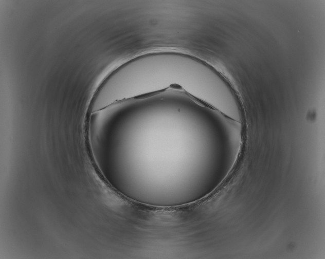 X0000090881181200708241934