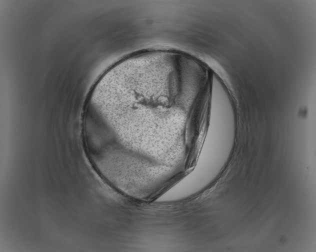 X0000090881183200708241934