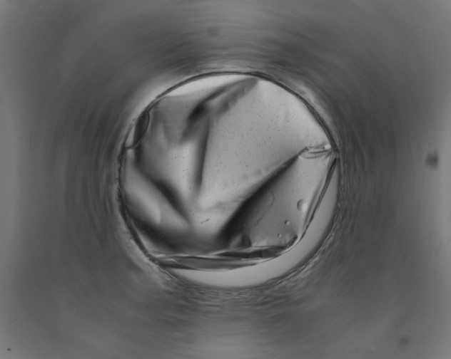 X0000090881187200708241934