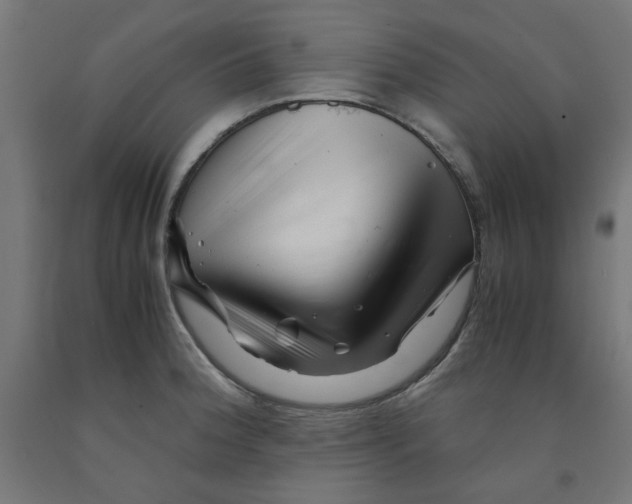 X0000090881188200708241934