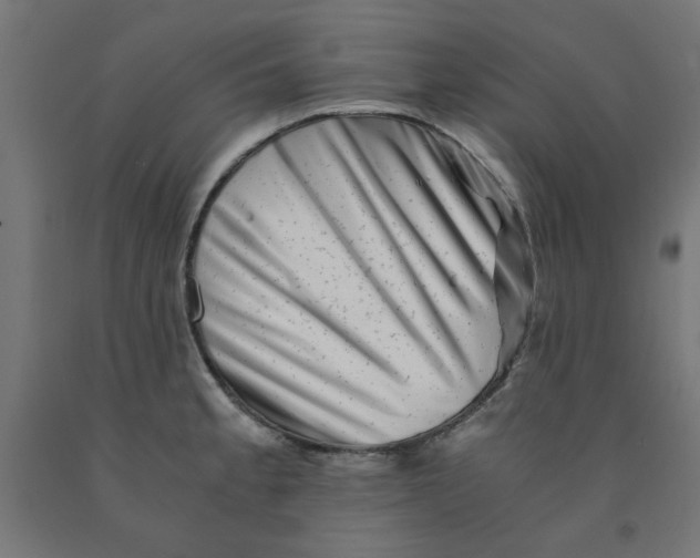 X0000090881189200708241934