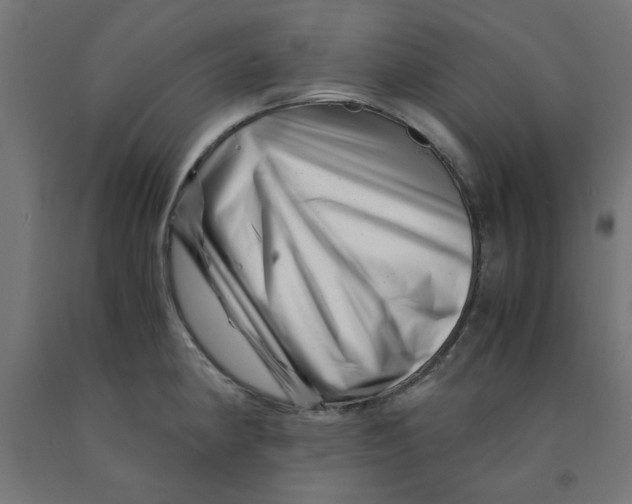 X0000090881190200708241934