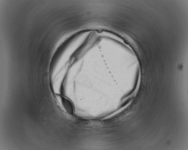 X0000090881191200708241934