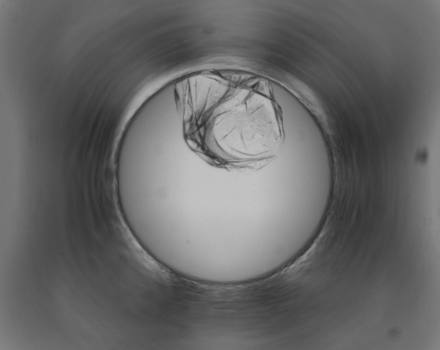 X0000090881192200708241934