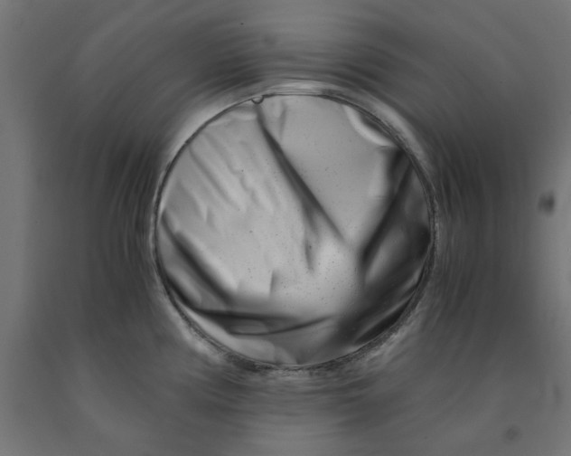 X0000090881194200708241934