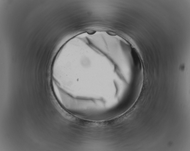 X0000090881195200708241934