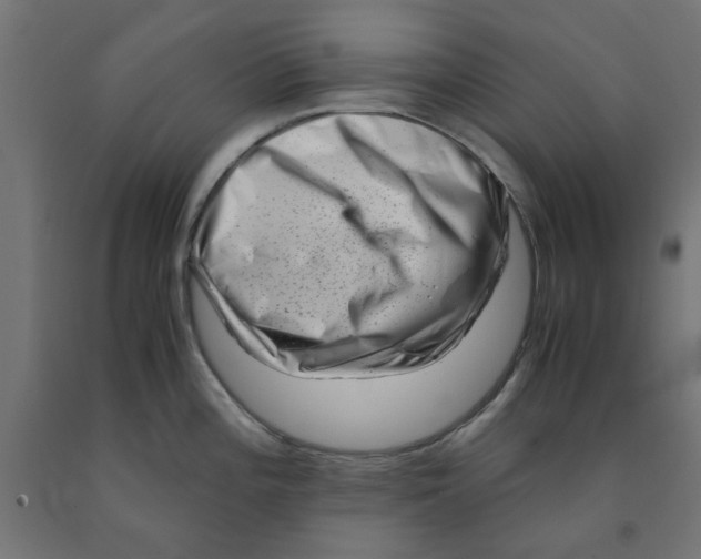 X0000090881196200708241934