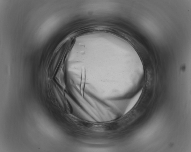 X0000090881198200708241934